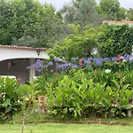 Quinta Dos Girassois Fz *