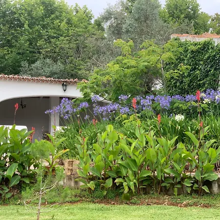 Quinta Dos Girassois Fz *