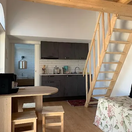 Quinta Dos Girassois Fz Ferreira do Zêzere