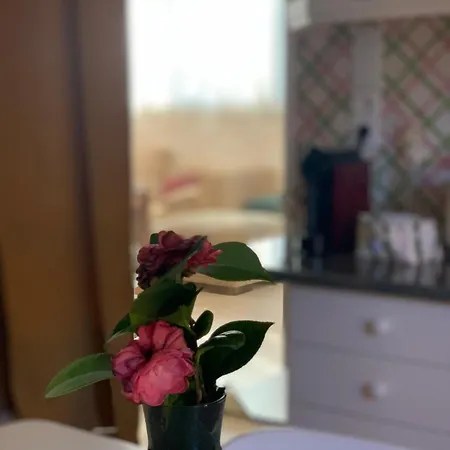 Apartamento Quinta Dos Girassóis Fz *